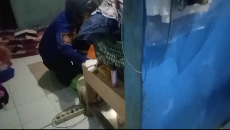 Malam-malam Ular Kobra Masuk ke Kamar, Warga Bogor Panggil Damkar