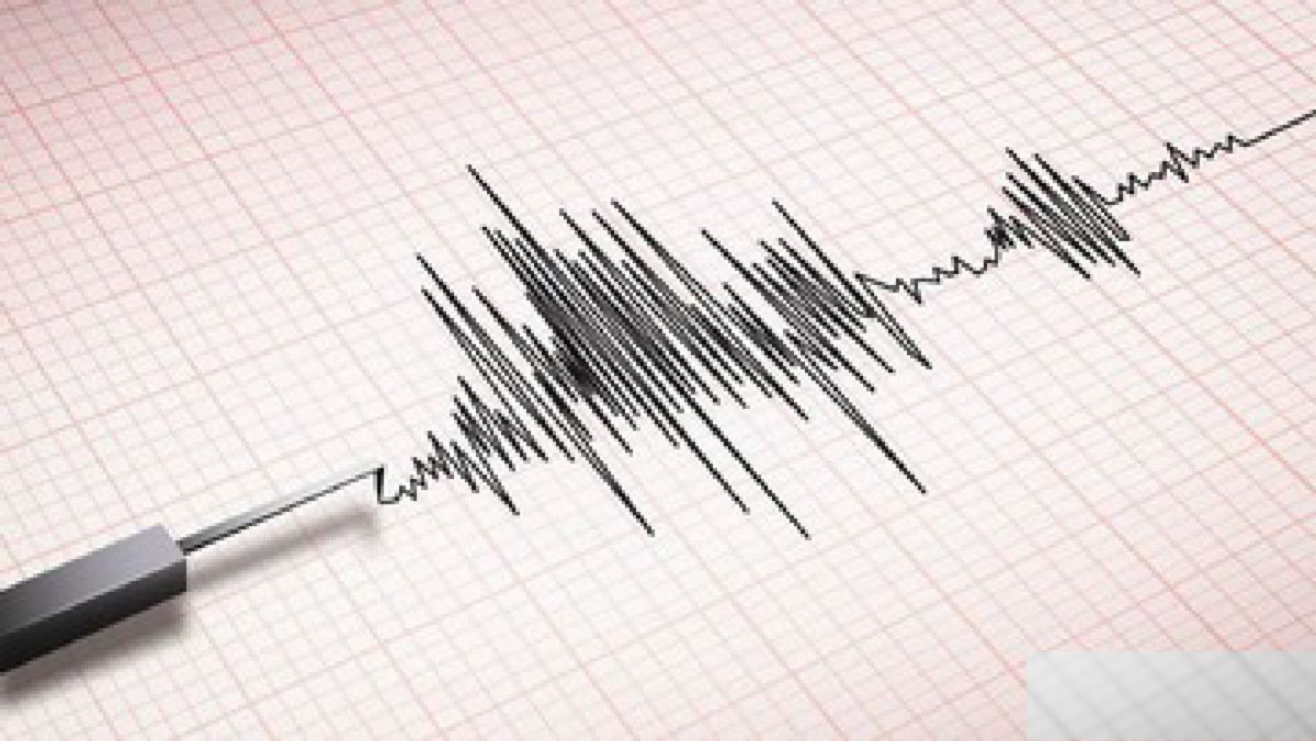 Gempa M 5,4 Guncang Buol, 75 Rumah dan Mal Pelayanan Publik Rusak