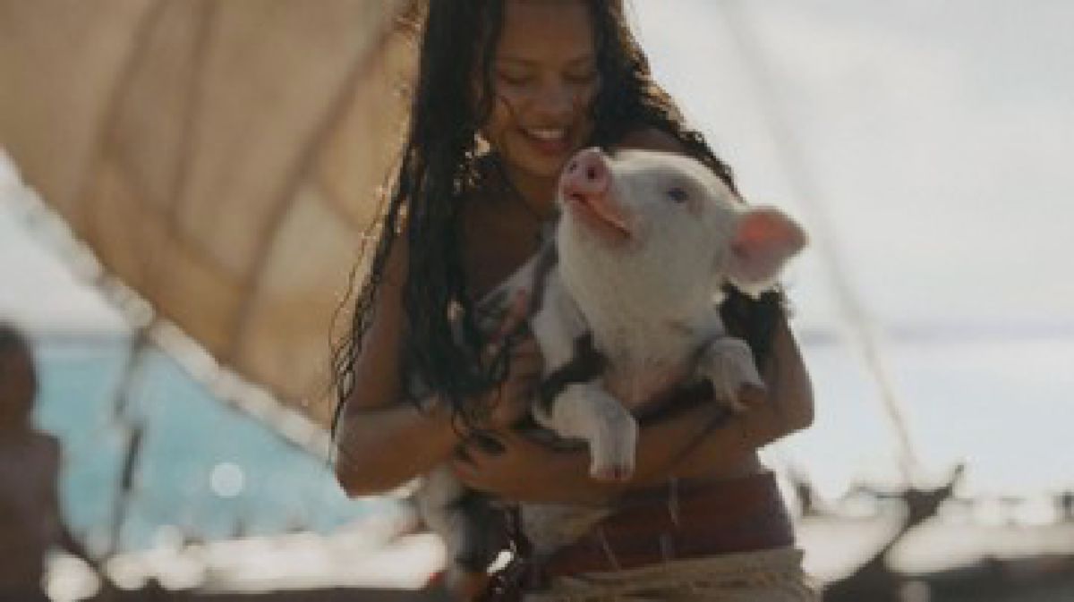 Lima Fakta Menarik Moana Live-Action yang Wajib Diketahui
