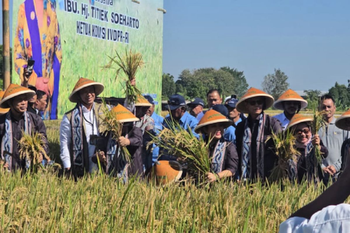 BULOG dan Komisi IV DPR Sinergi Tingkatkan Kesejahteraan Petani Klaten